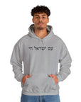 Am Yisrael Chai Hoodie - Shop Israel