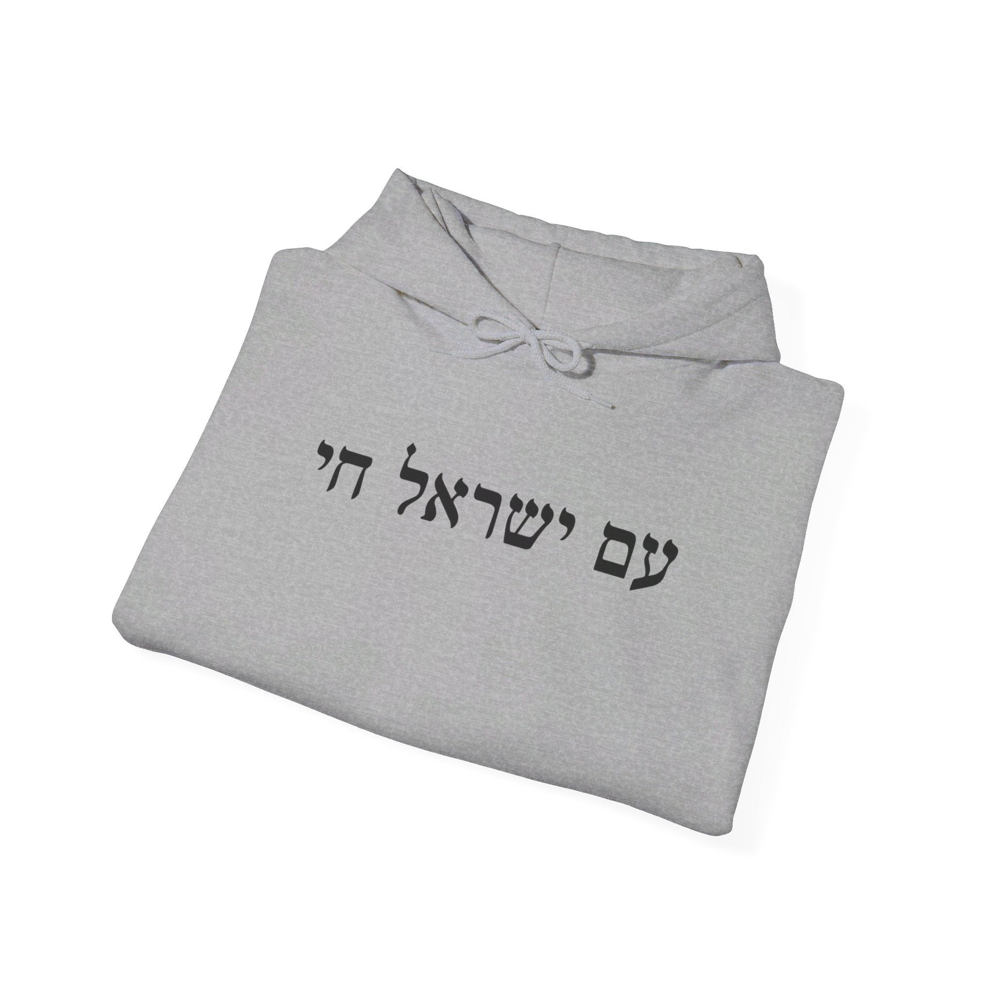 Am Yisrael Chai Hoodie - Shop Israel