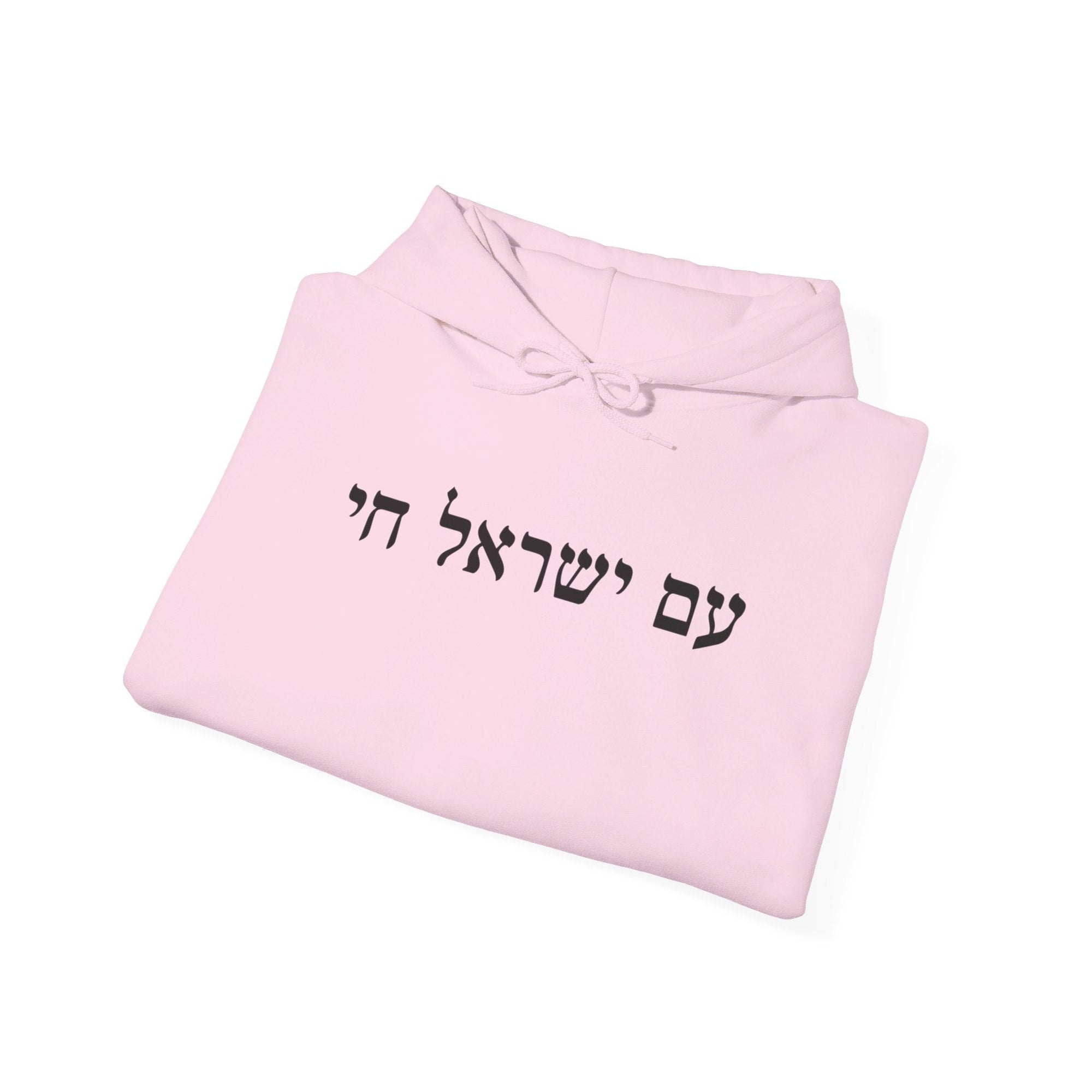 Am Yisrael Chai Hoodie - Shop Israel