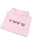 Am Yisrael Chai Hoodie - Shop Israel