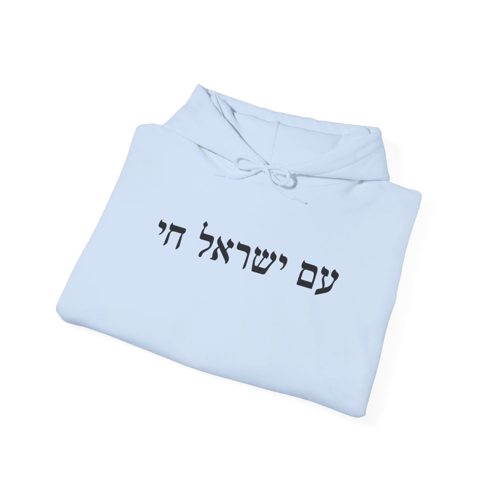 Am Yisrael Chai Hoodie - Shop Israel