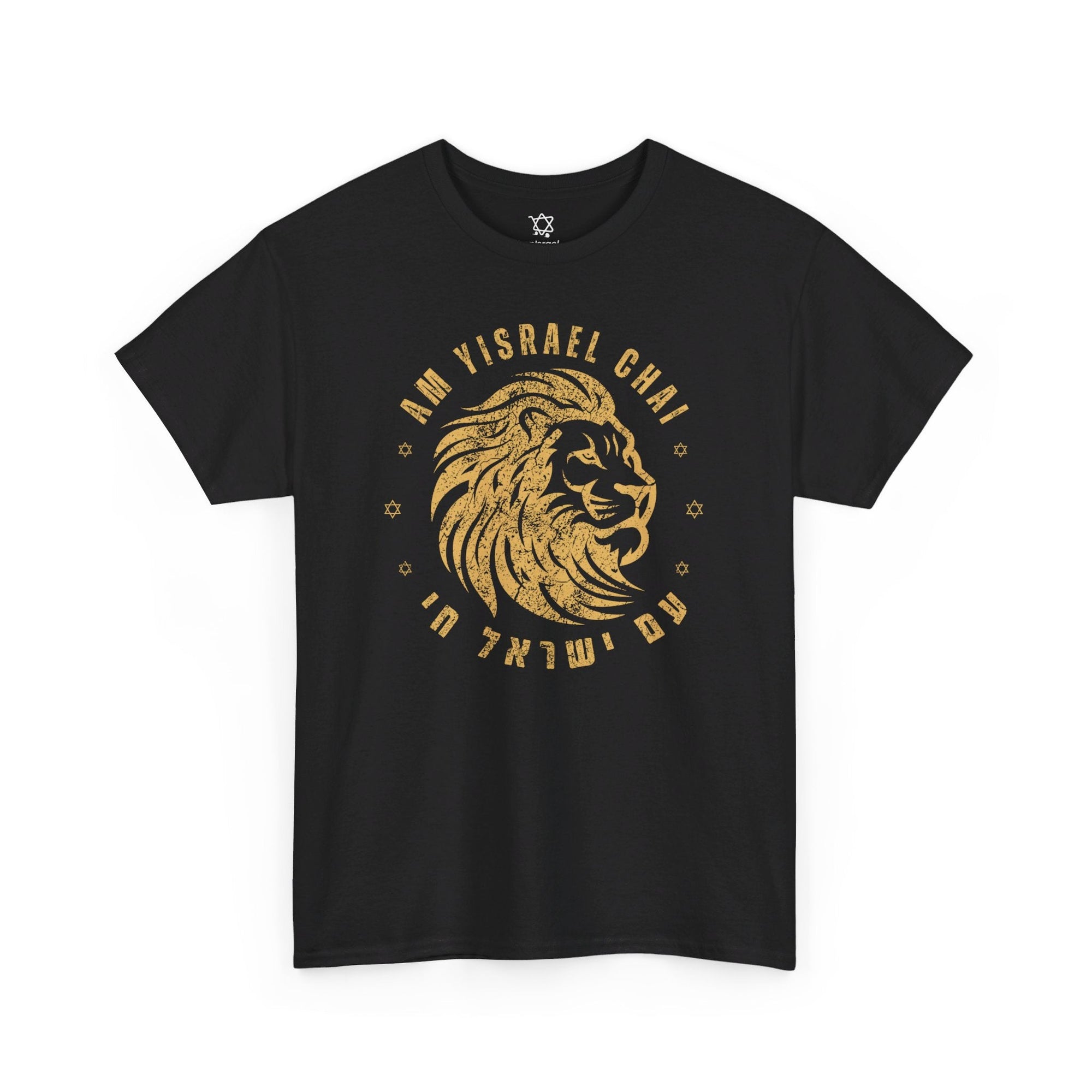 Am Yisrael Chai Lion T - Shirt - Shop Israel