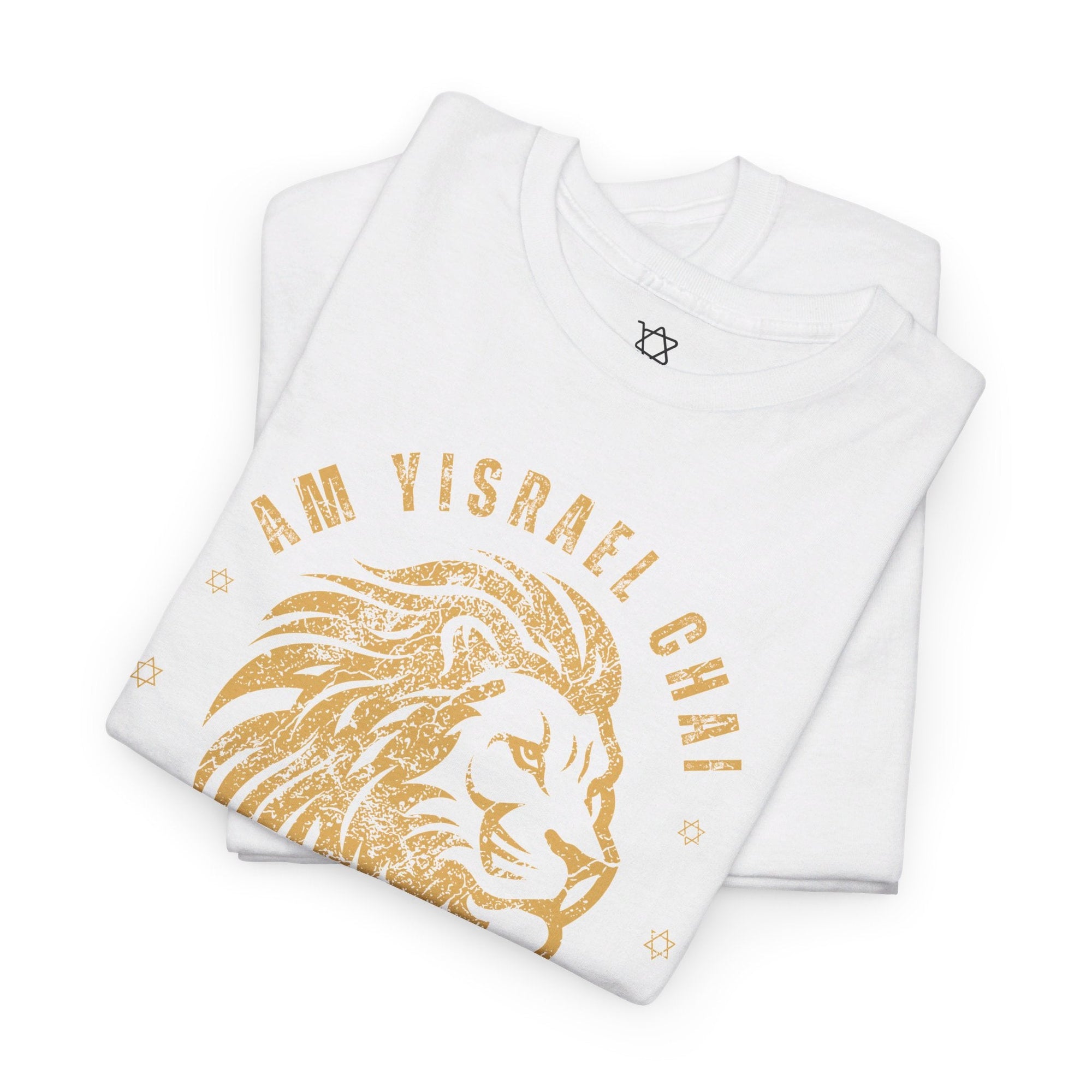 Am Yisrael Chai Lion T - Shirt - Shop Israel