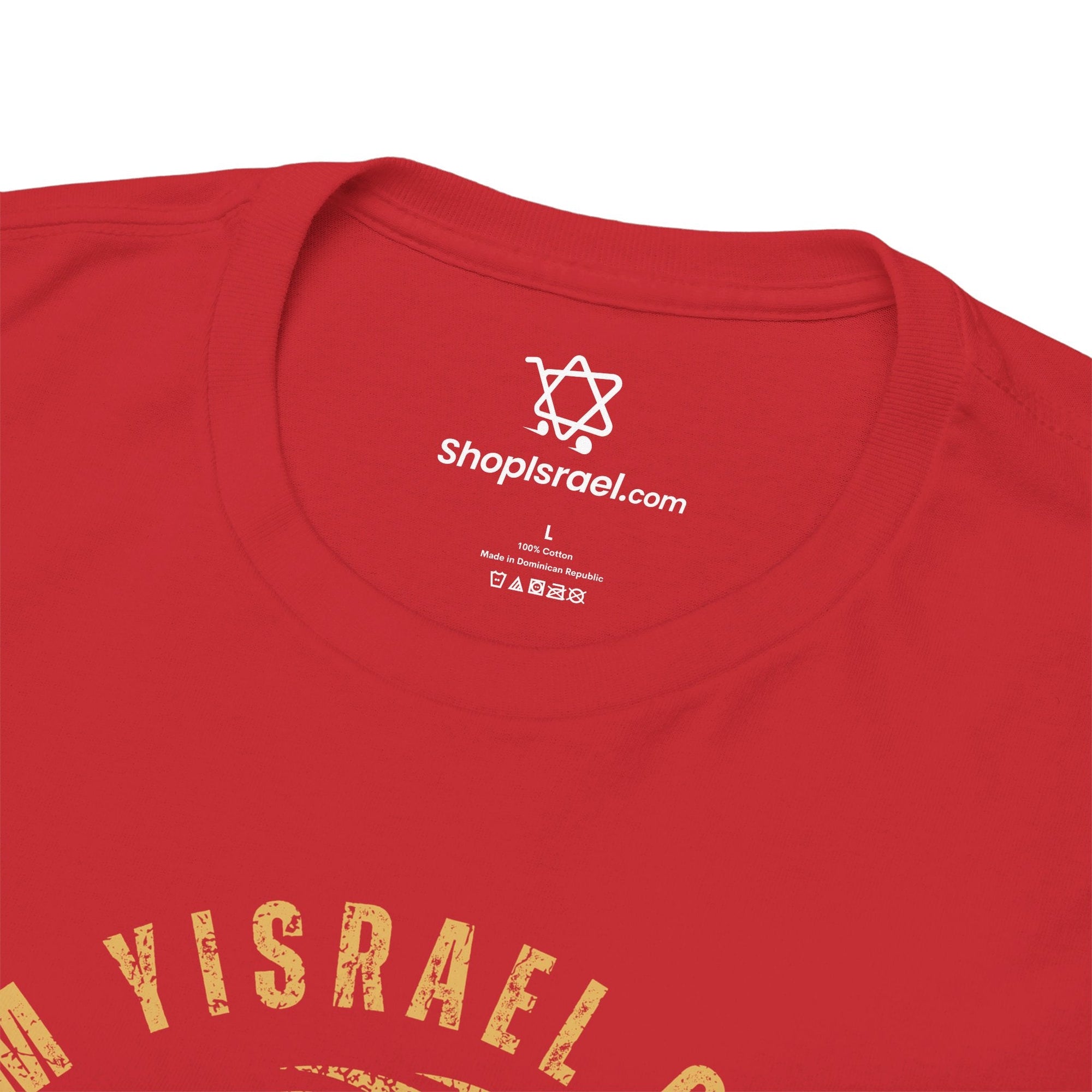 Am Yisrael Chai Lion T - Shirt - Shop Israel