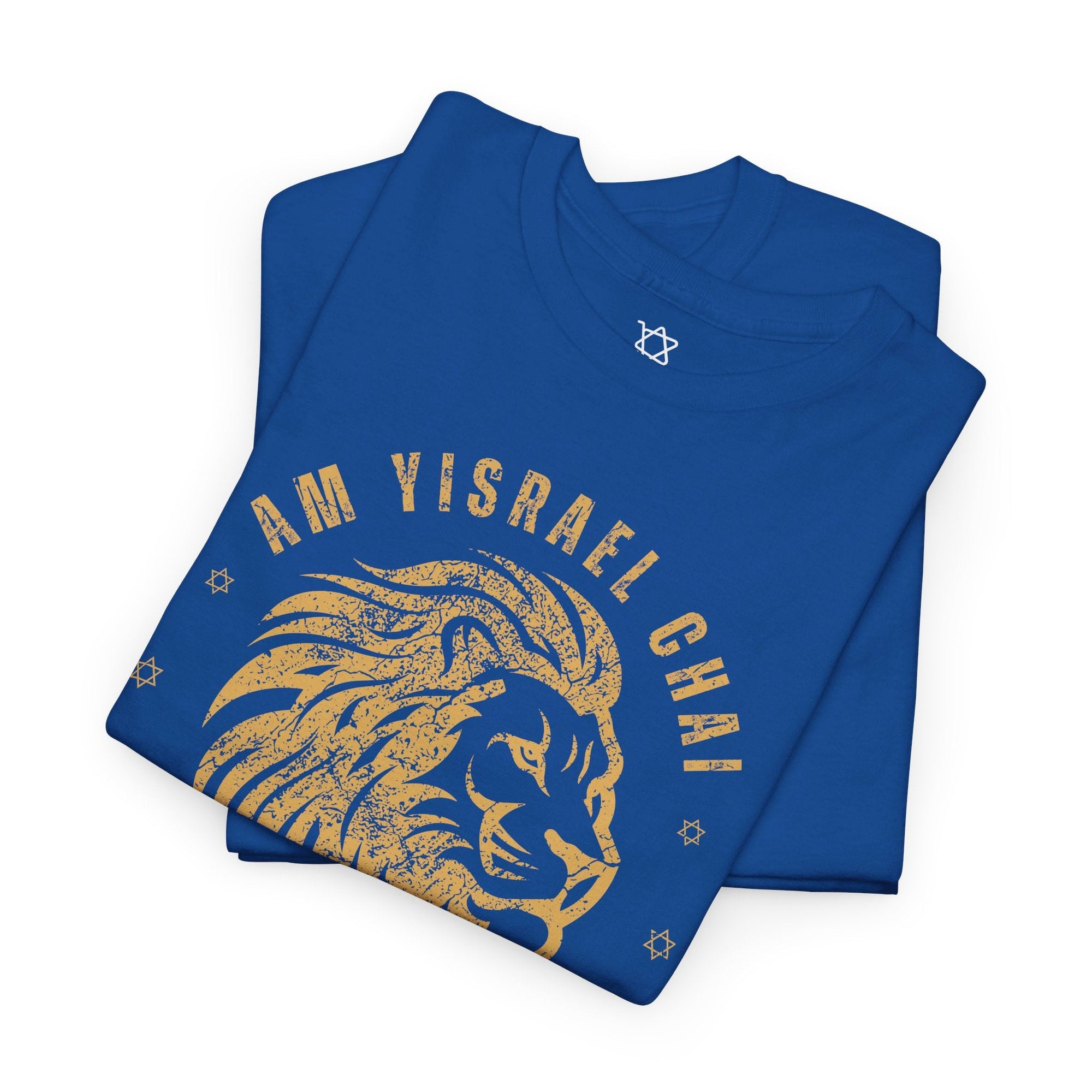 Am Yisrael Chai Lion T - Shirt - Shop Israel