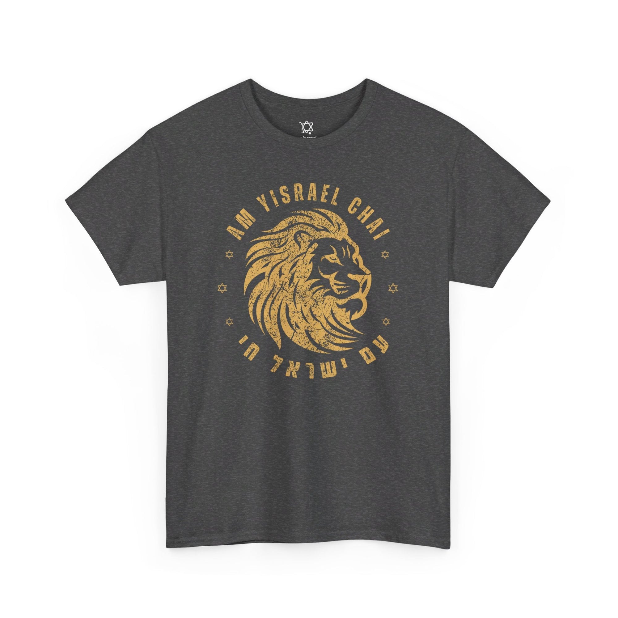 Am Yisrael Chai Lion T - Shirt - Shop Israel