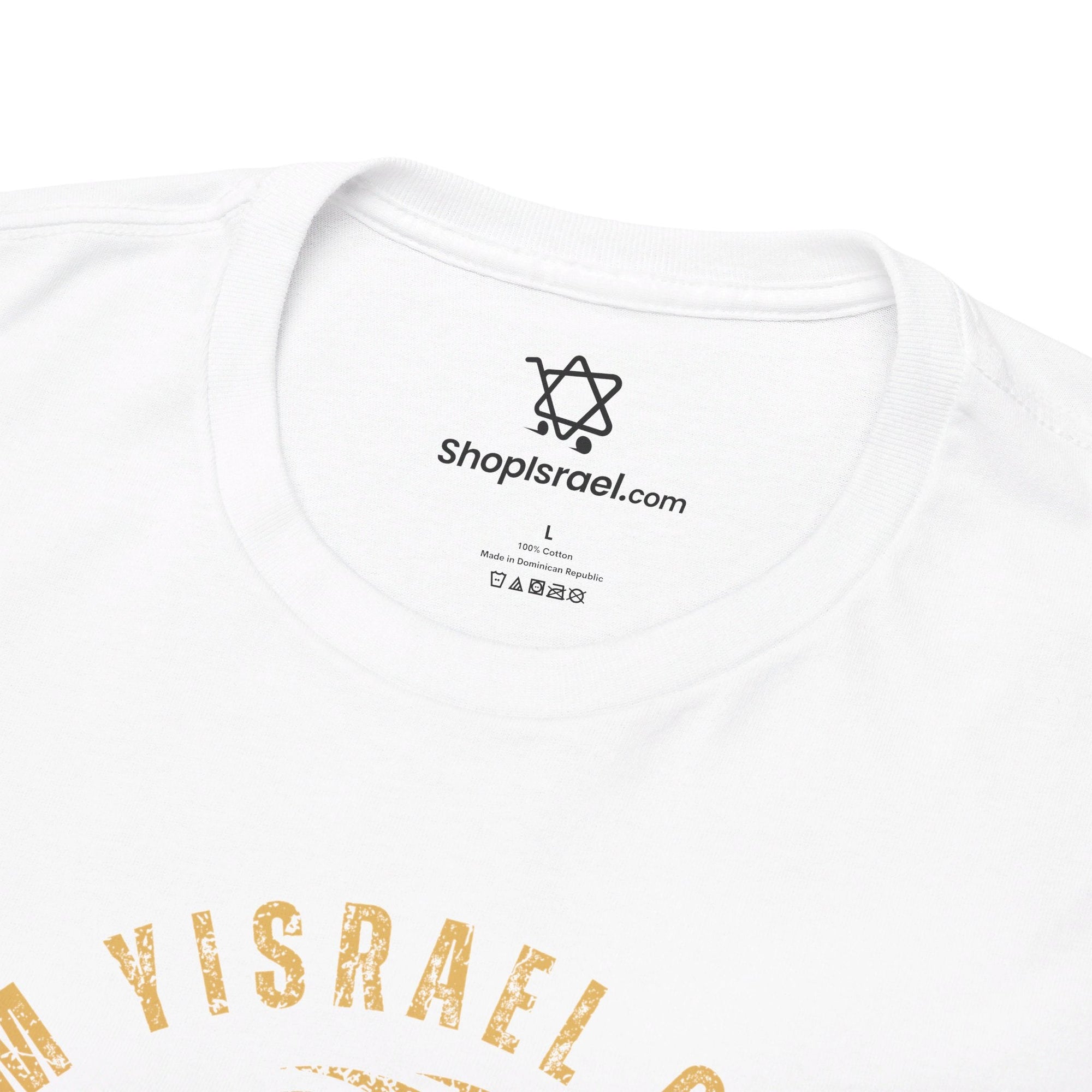 Am Yisrael Chai Lion T - Shirt - Shop Israel