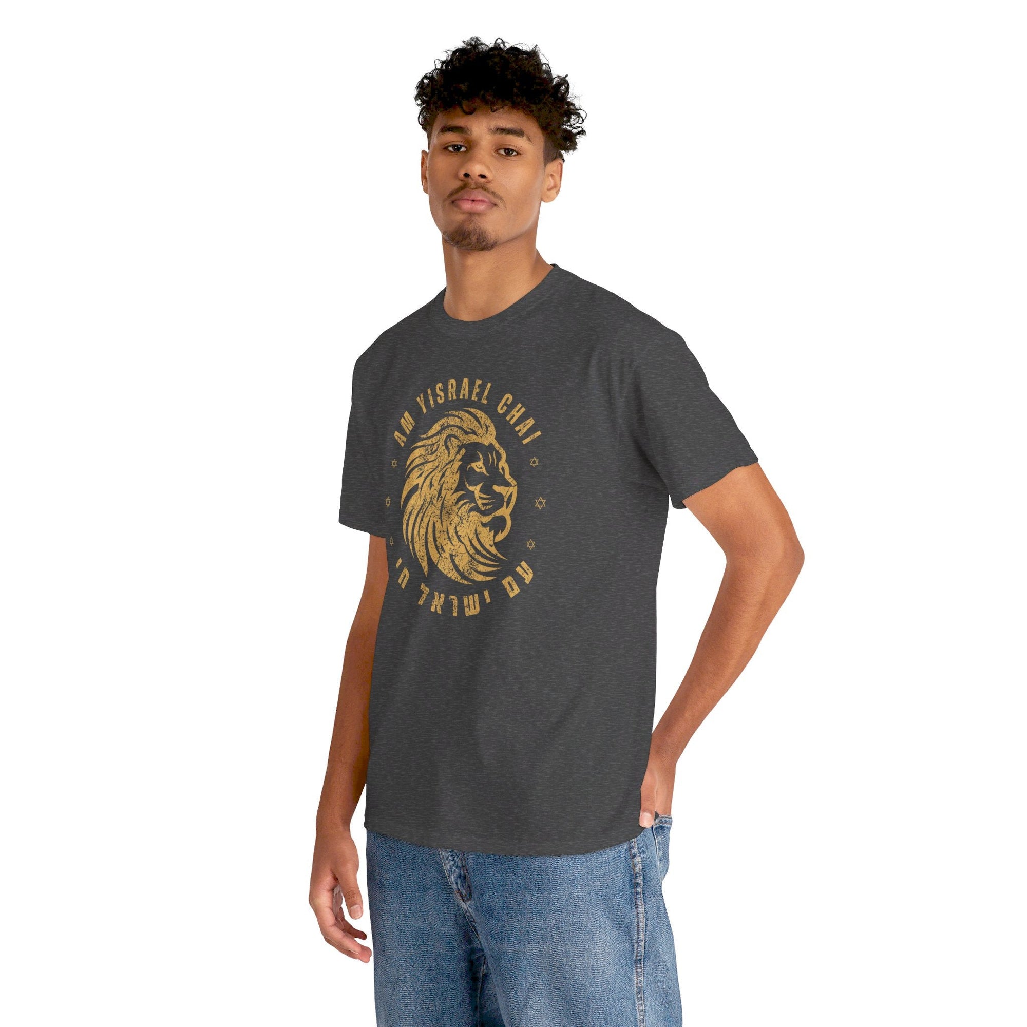 Am Yisrael Chai Lion T - Shirt - Shop Israel