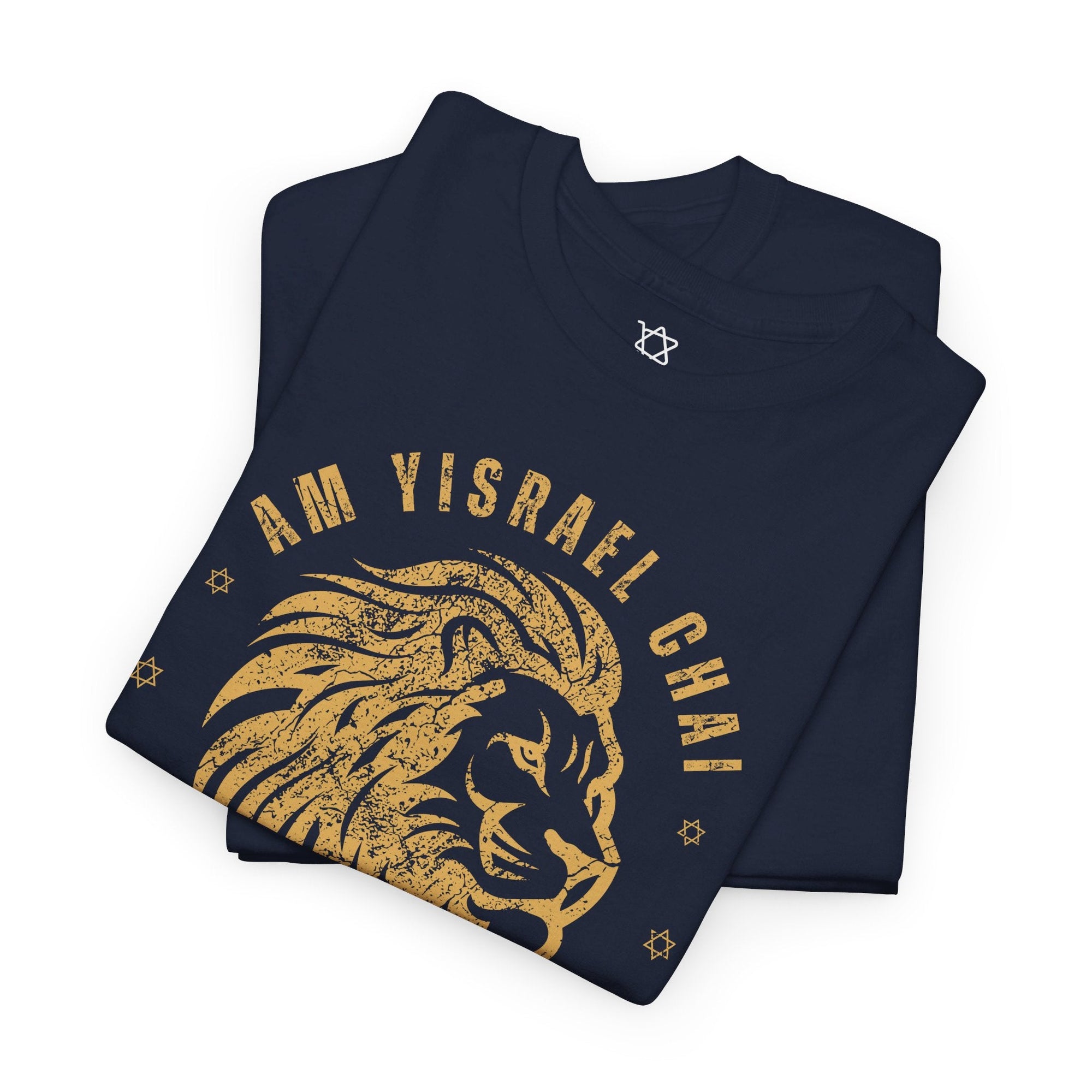 Am Yisrael Chai Lion T - Shirt - Shop Israel