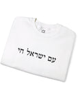 Am Yisrael Chai Sweatshirt - Shop Israel