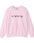 Am Yisrael Chai Sweatshirt - Shop Israel