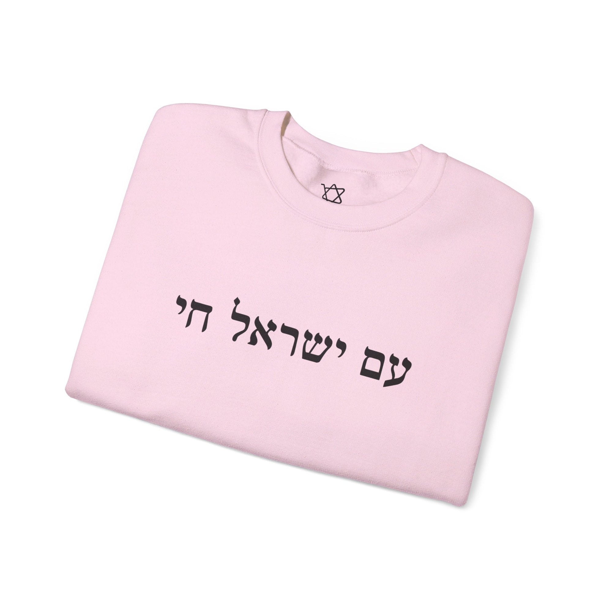 Am Yisrael Chai Sweatshirt - Shop Israel