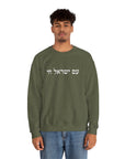 Am Yisrael Chai Sweatshirt - Shop Israel