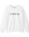 Am Yisrael Chai Sweatshirt - Shop Israel