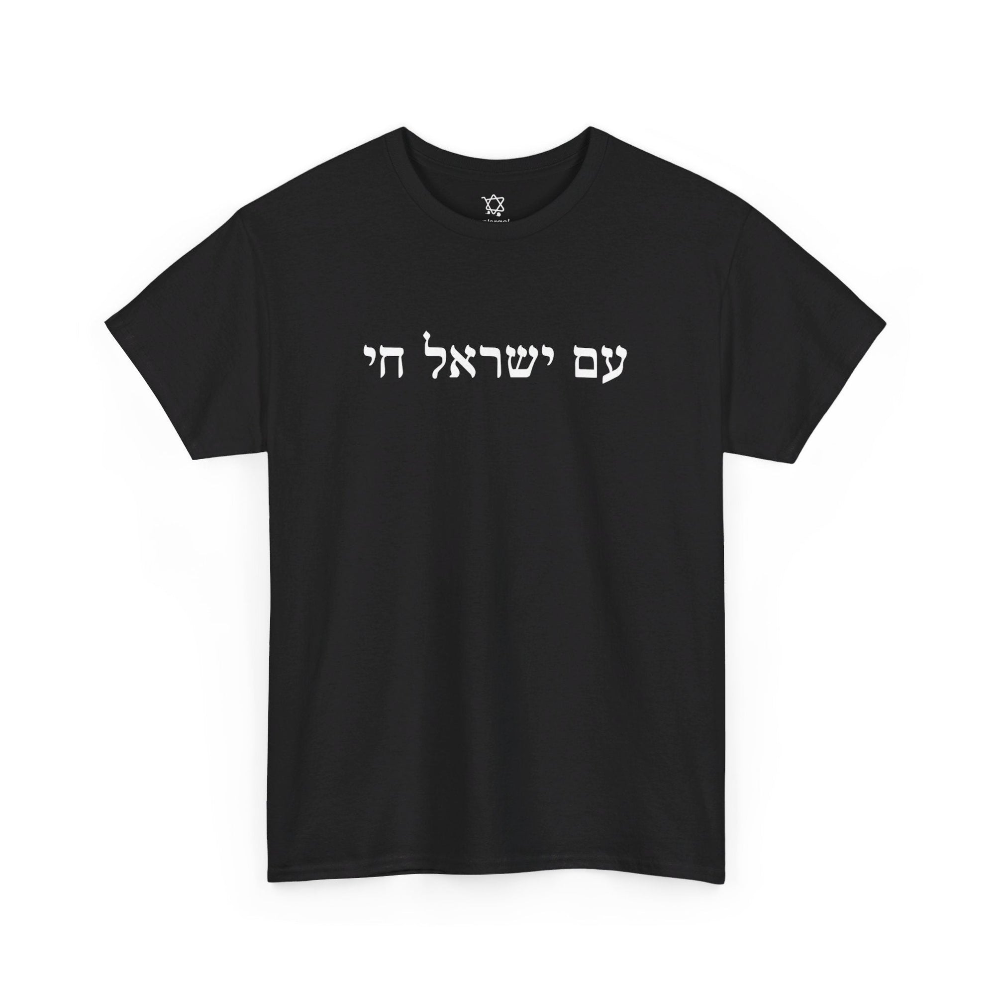 Am Yisrael Chai T - Shirt - Shop Israel