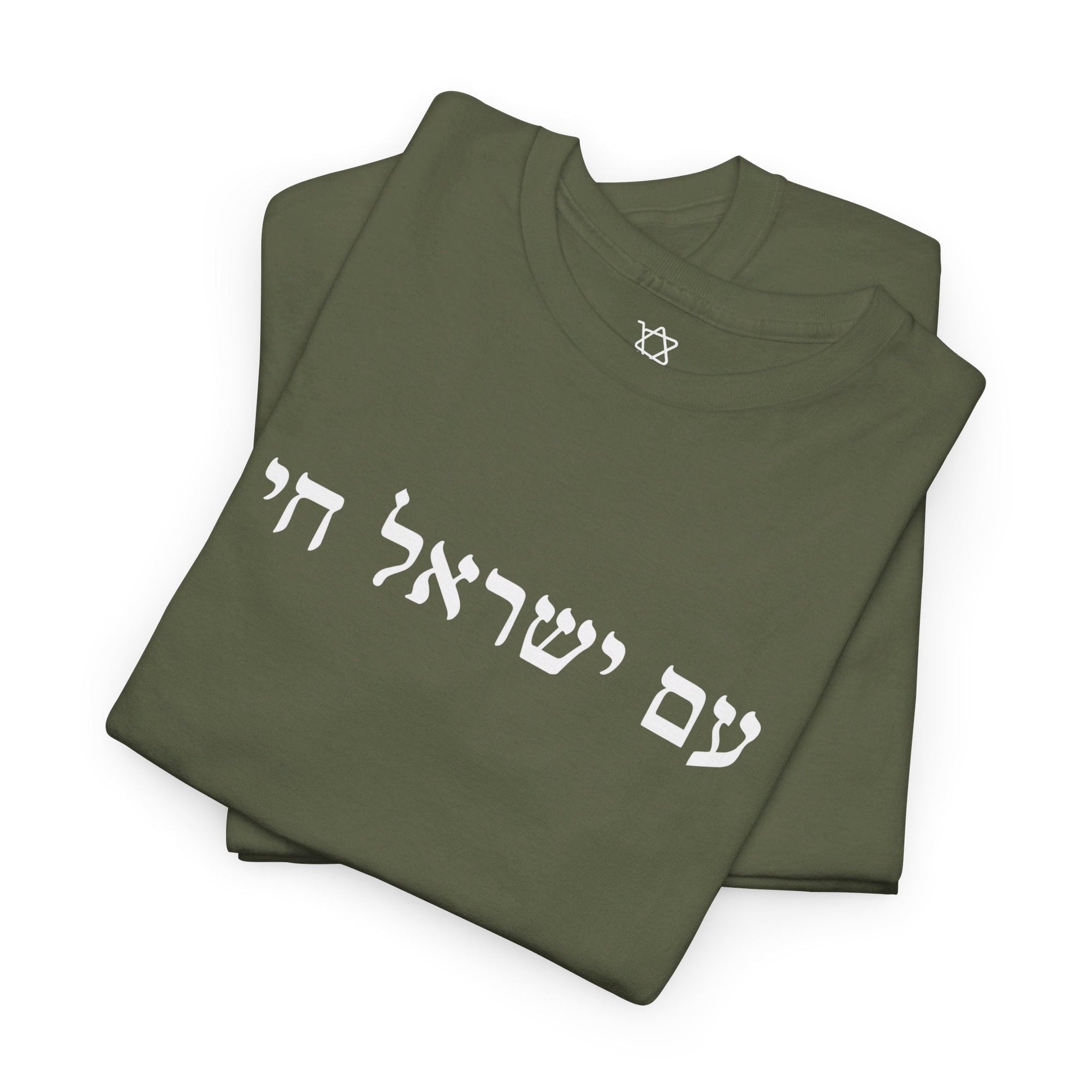 Am Yisrael Chai T - Shirt - Shop Israel