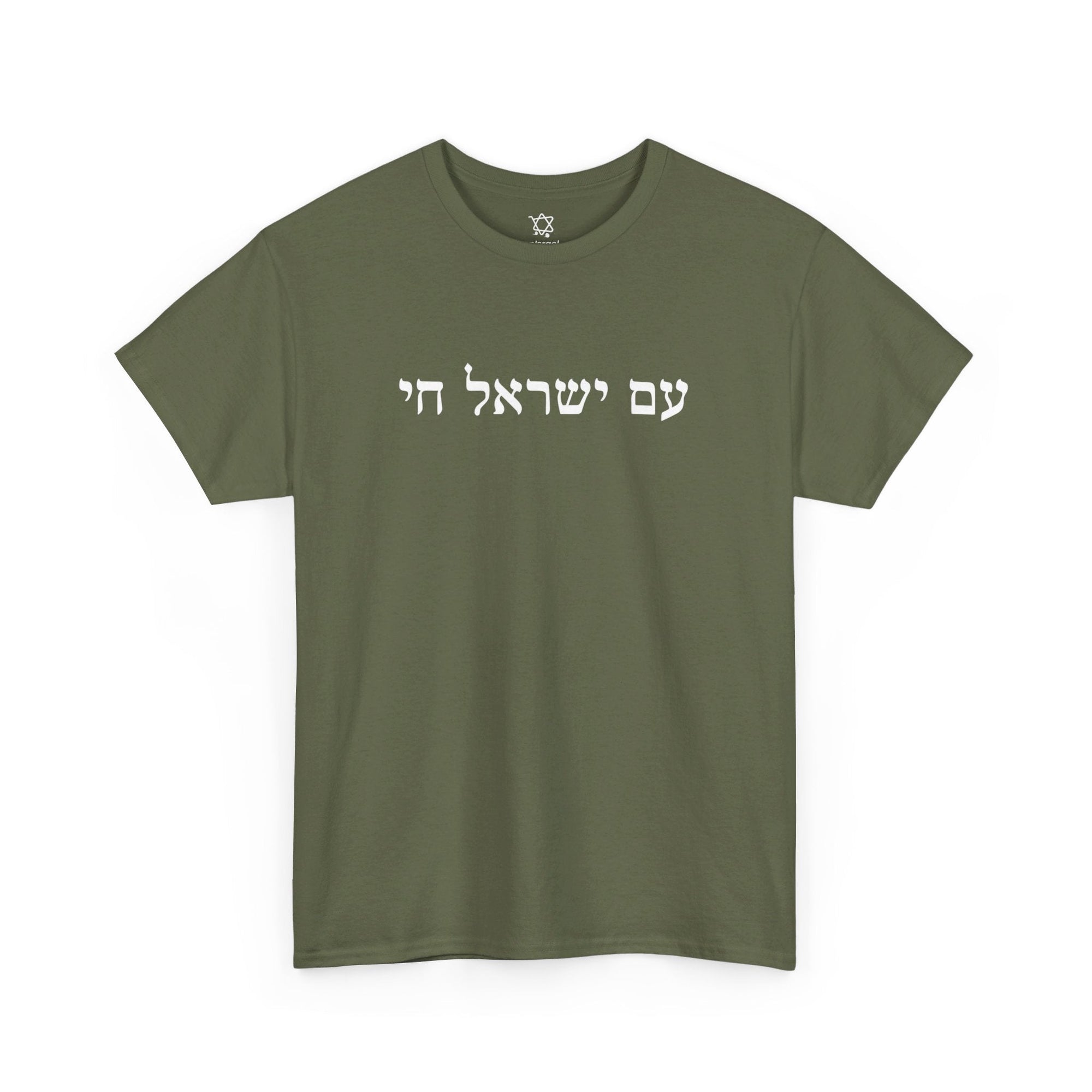 Am Yisrael Chai T - Shirt - Shop Israel