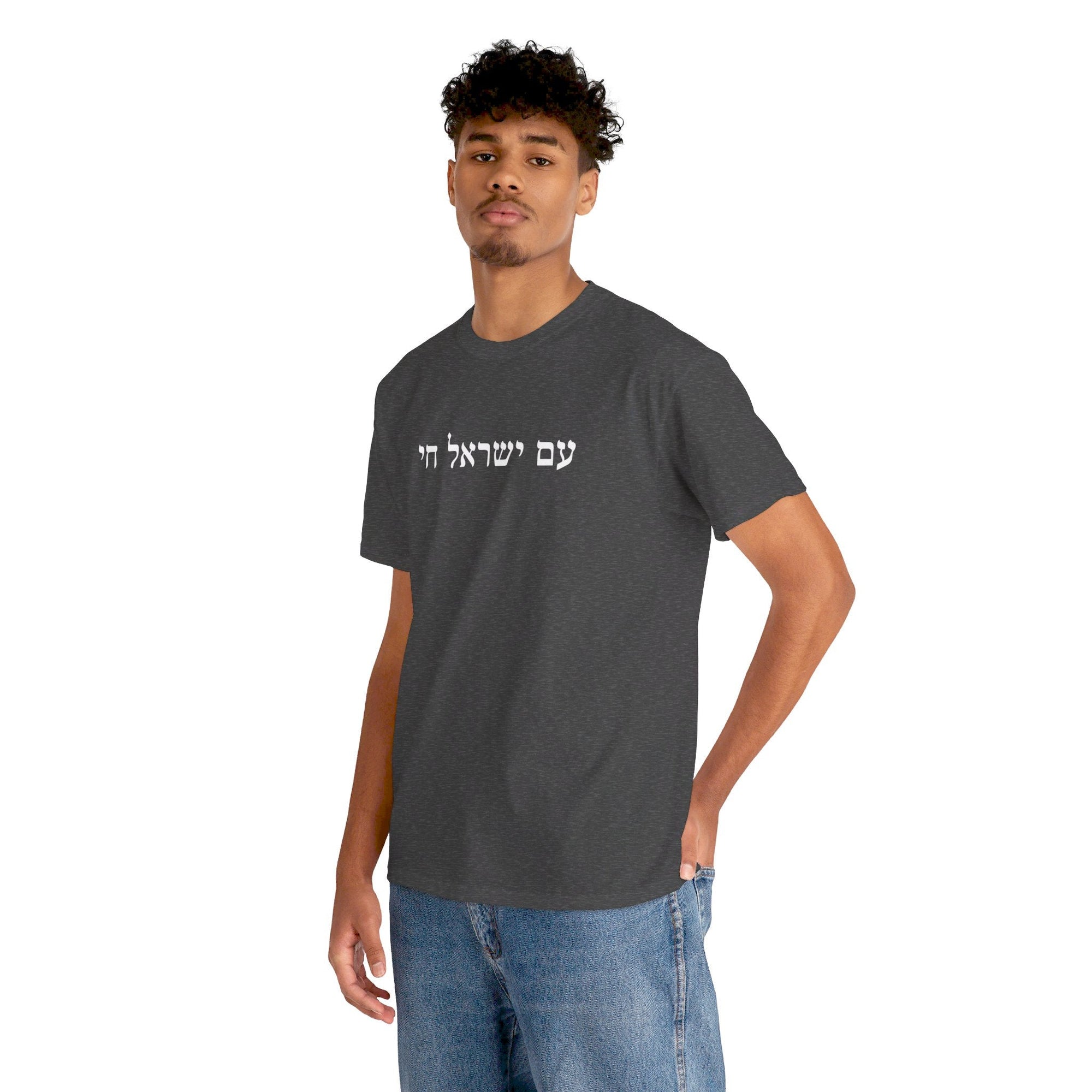 Am Yisrael Chai T - Shirt - Shop Israel