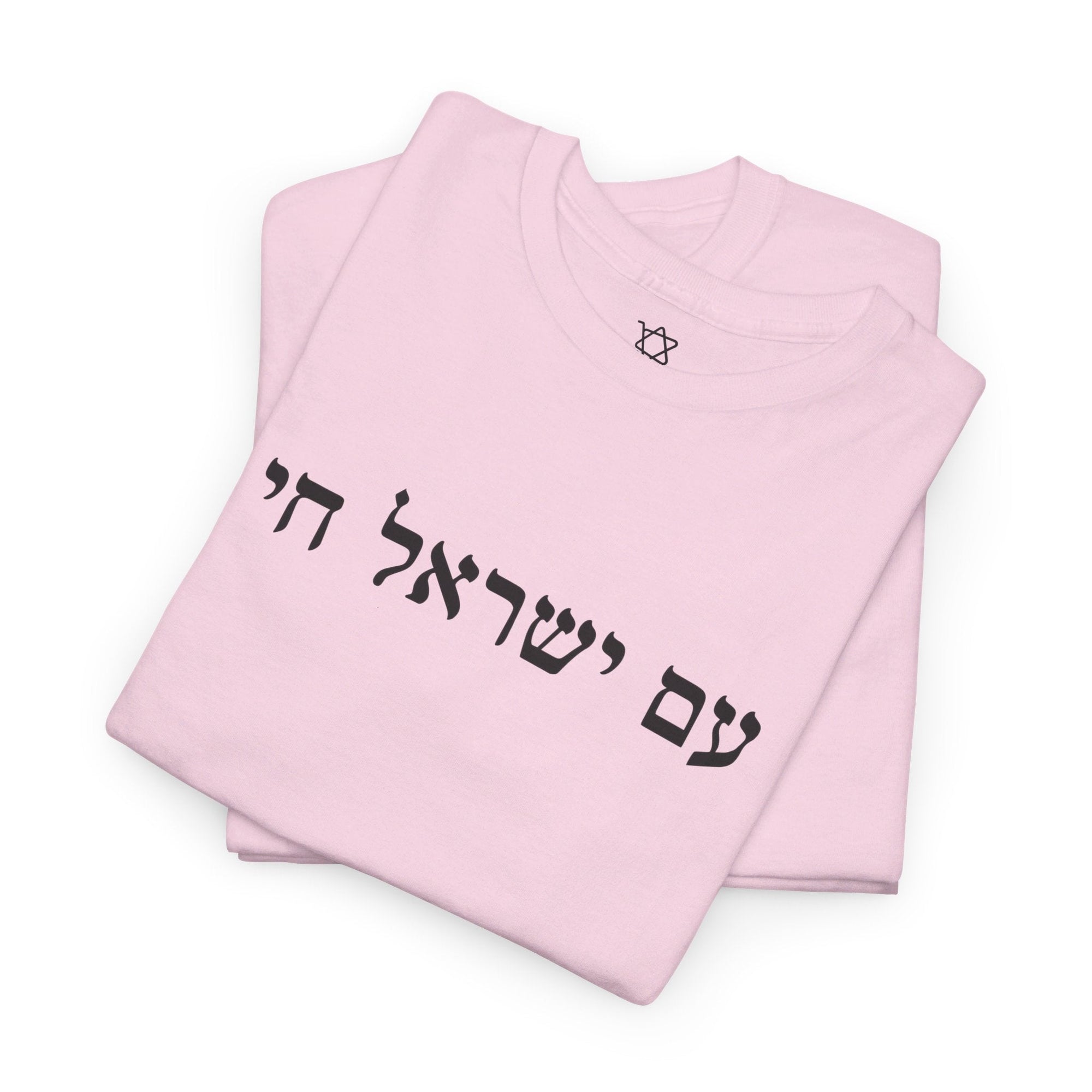 Am Yisrael Chai T - Shirt - Shop Israel