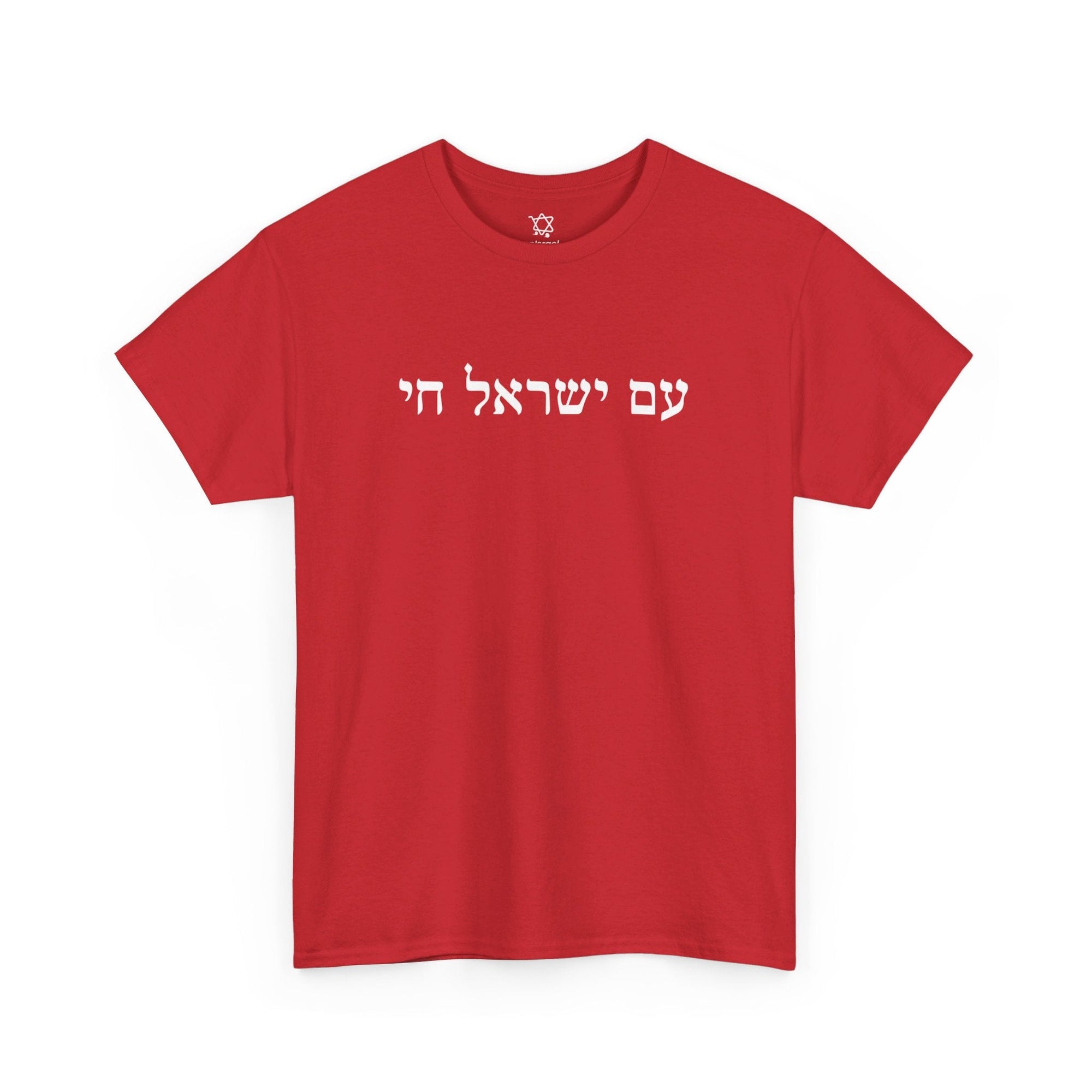 Am Yisrael Chai T - Shirt - Shop Israel