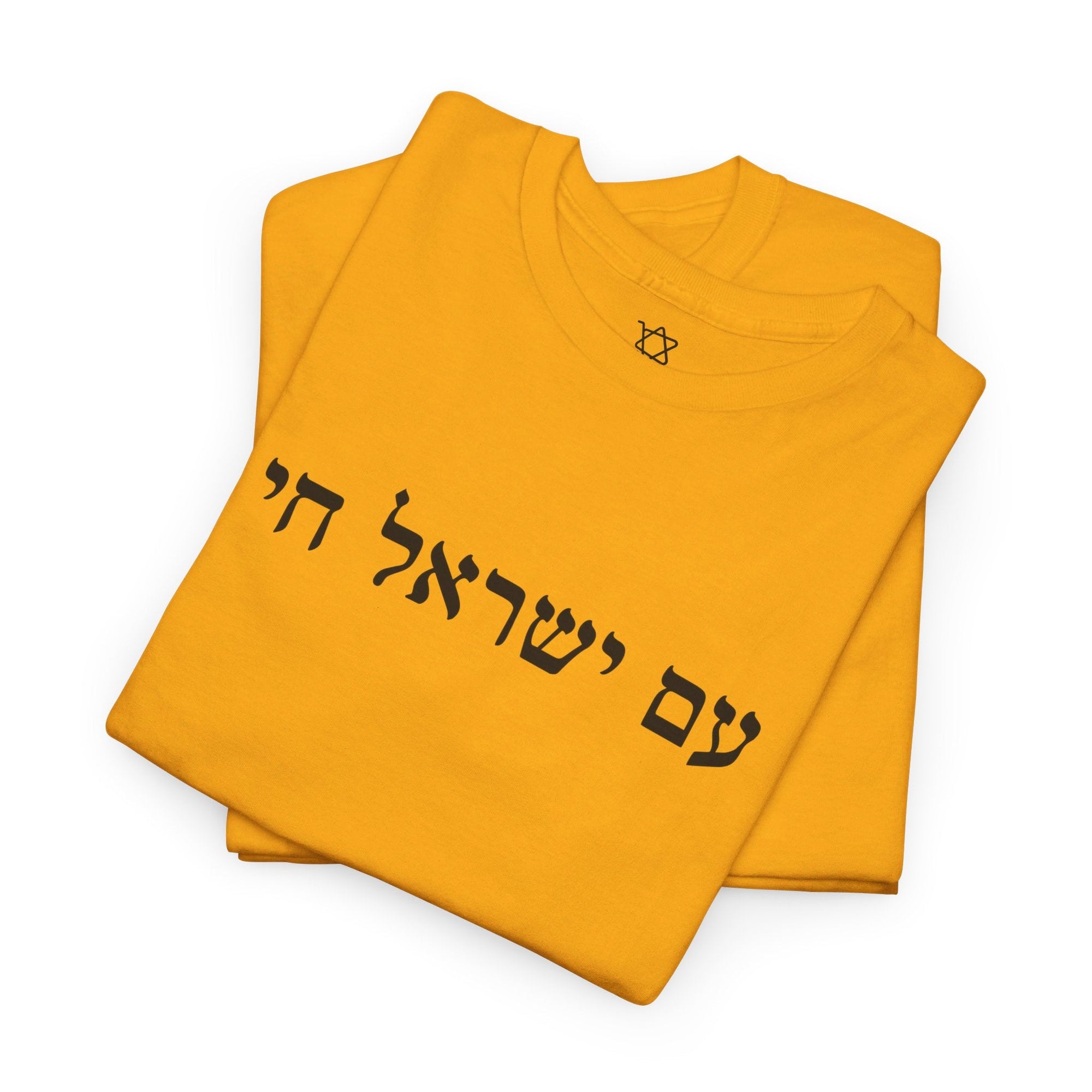 Am Yisrael Chai T - Shirt - Shop Israel