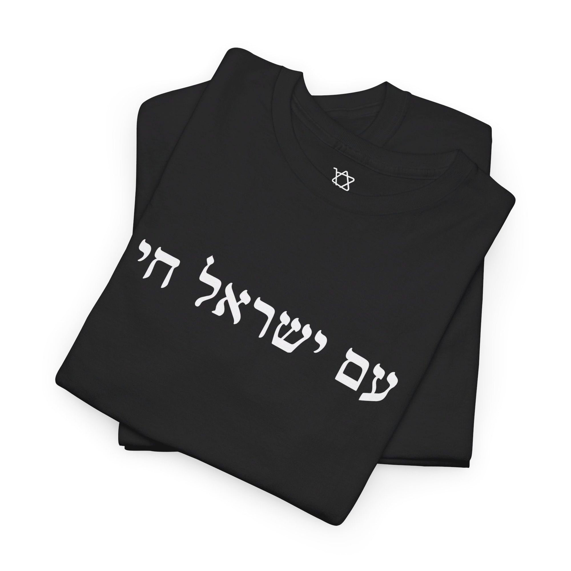 Am Yisrael Chai T - Shirt - Shop Israel