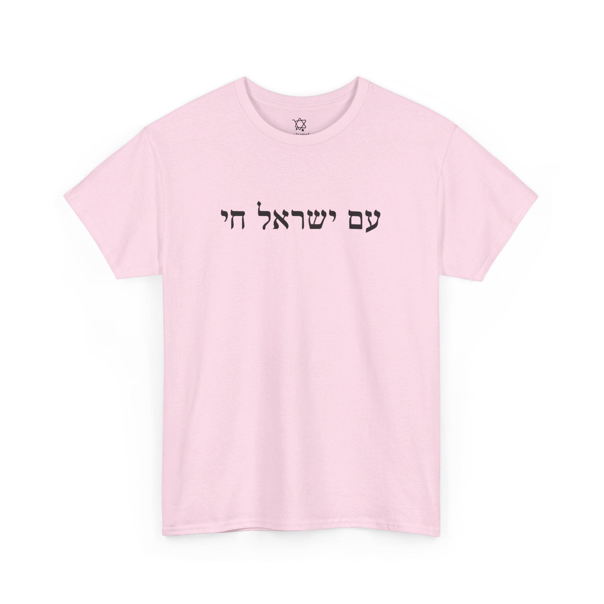 Am Yisrael Chai T - Shirt - Shop Israel