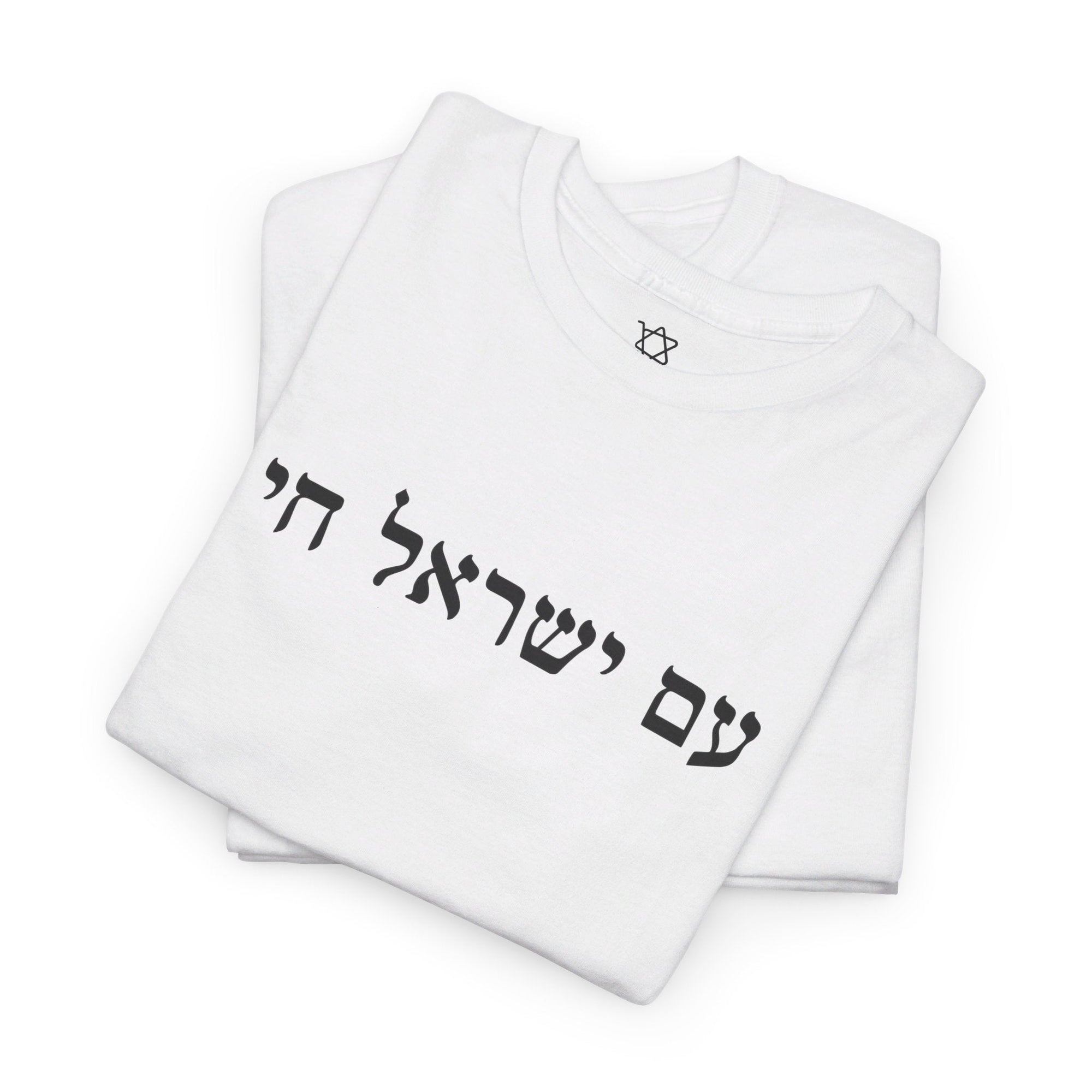 Am Yisrael Chai T - Shirt - Shop Israel