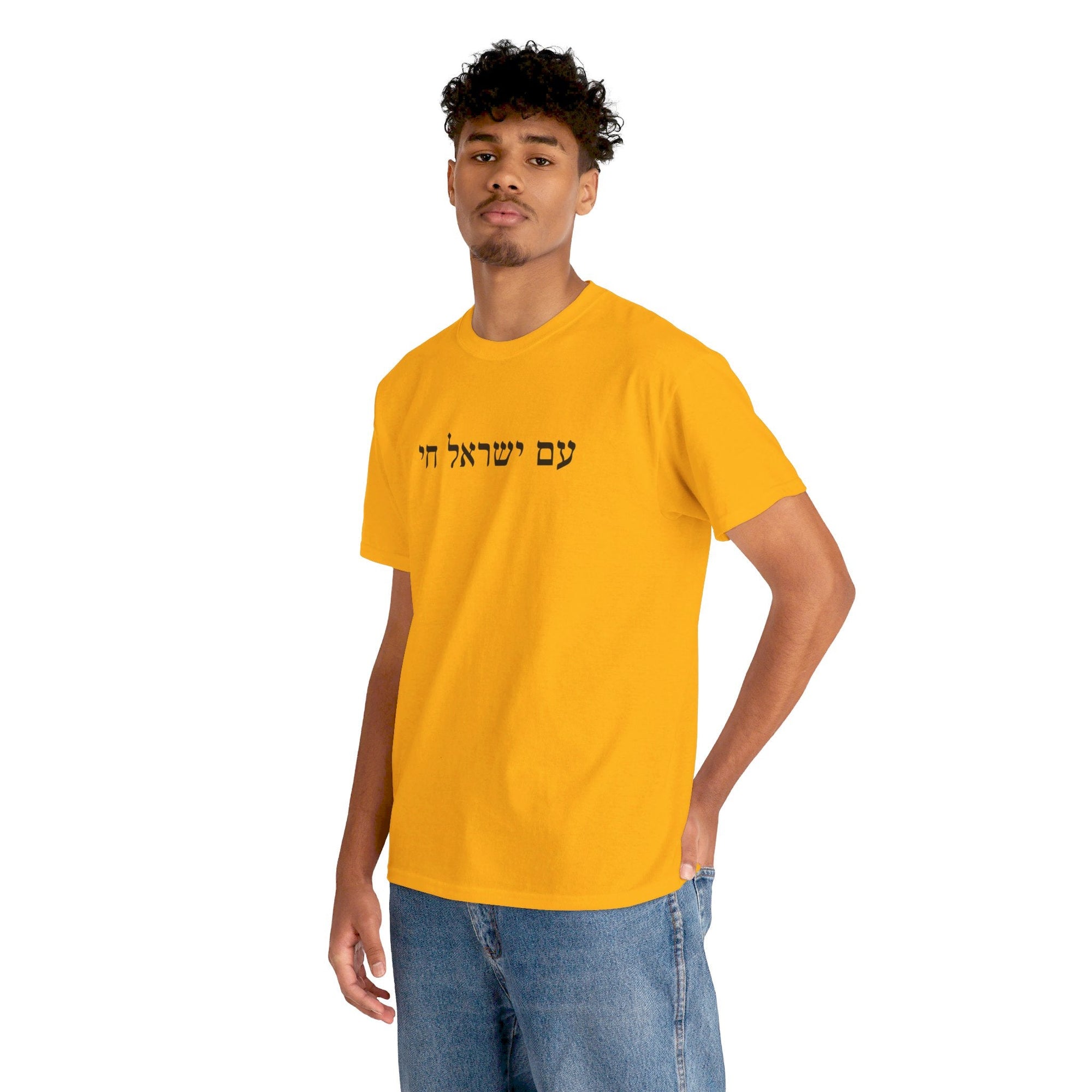 Am Yisrael Chai T - Shirt - Shop Israel