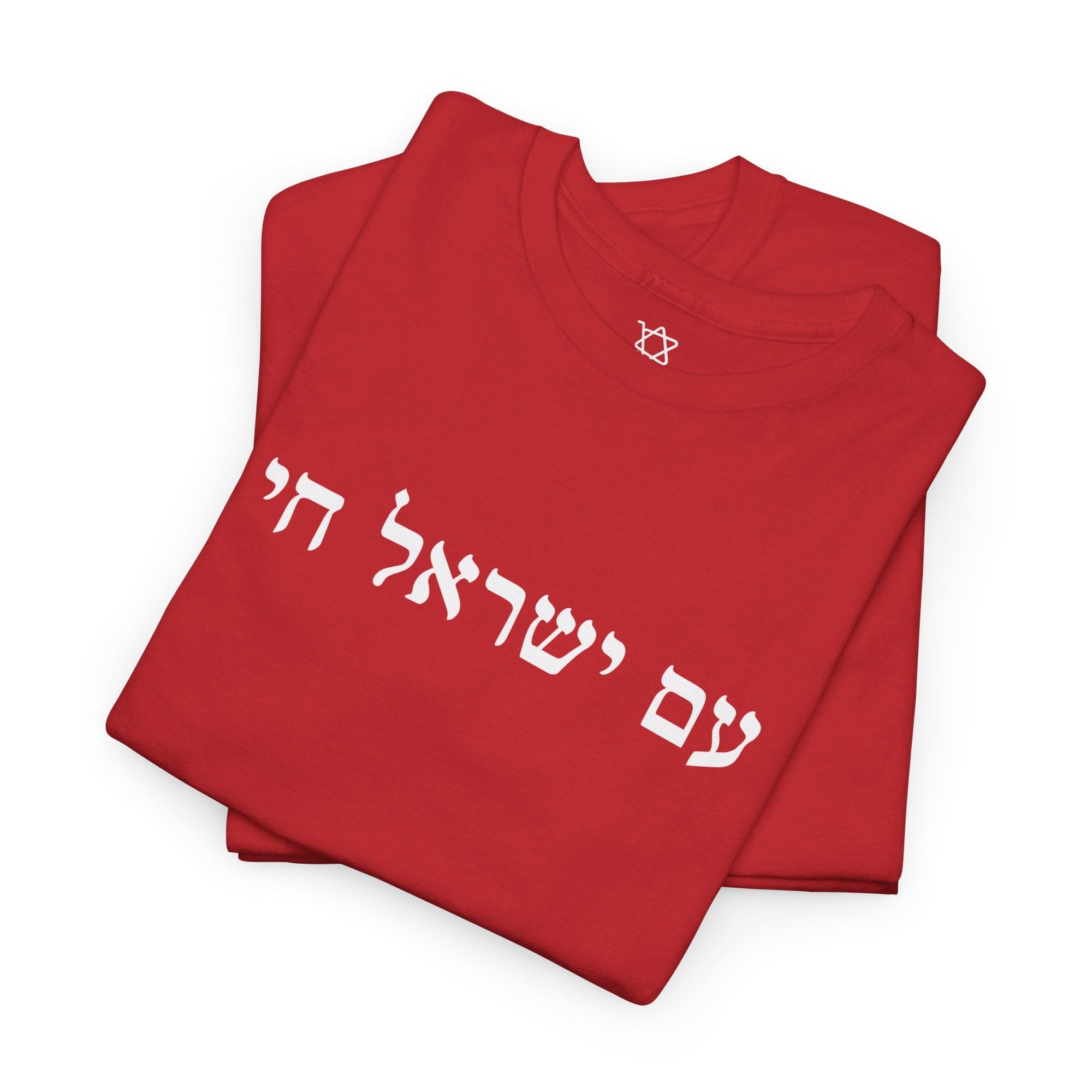 Am Yisrael Chai T - Shirt - Shop Israel