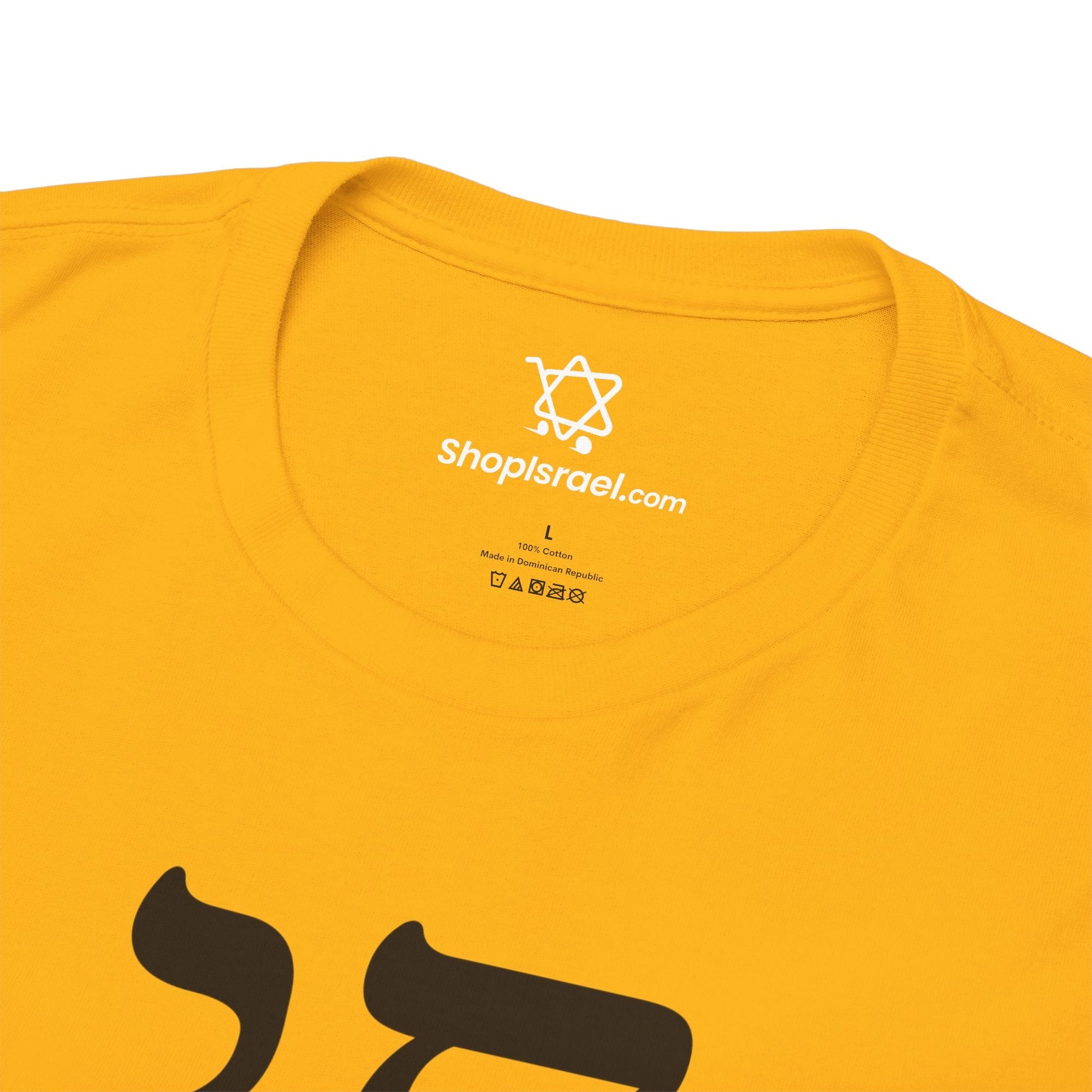 Chai Maintenance T-Shirt - Shop Israel