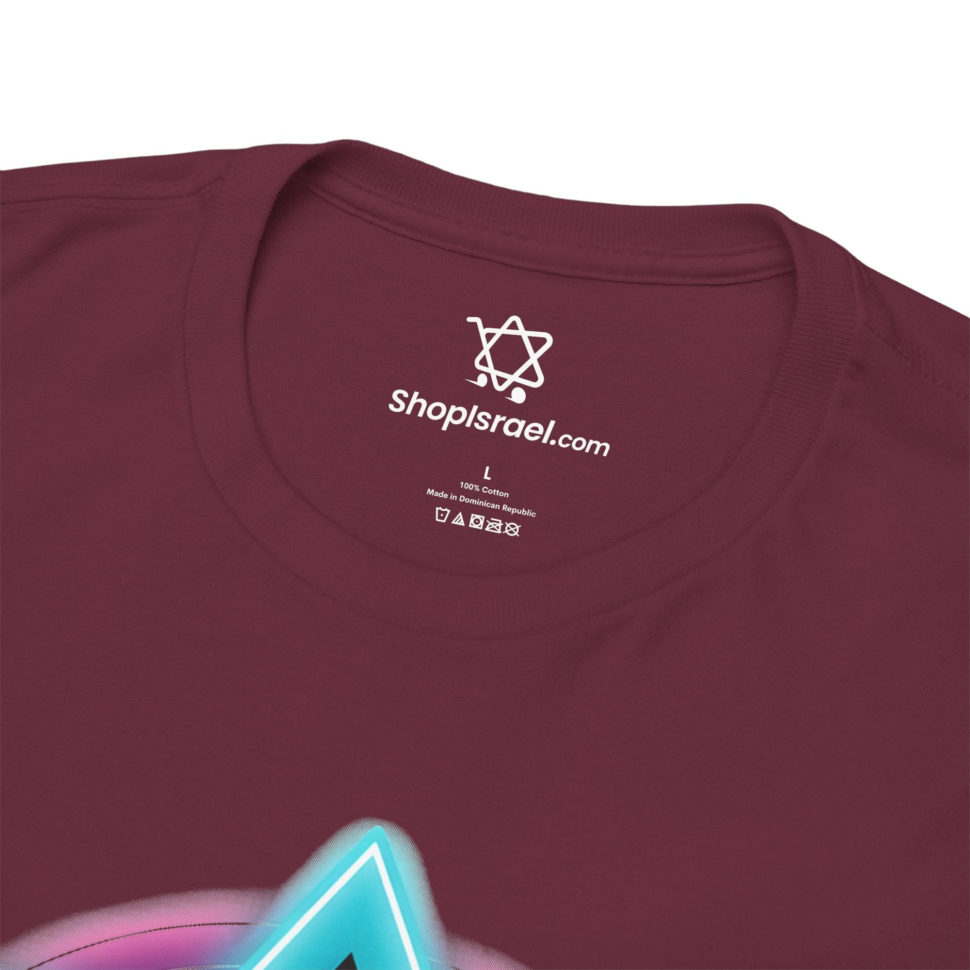 Colorful Lion of Judah T-Shirt - Shop Israel