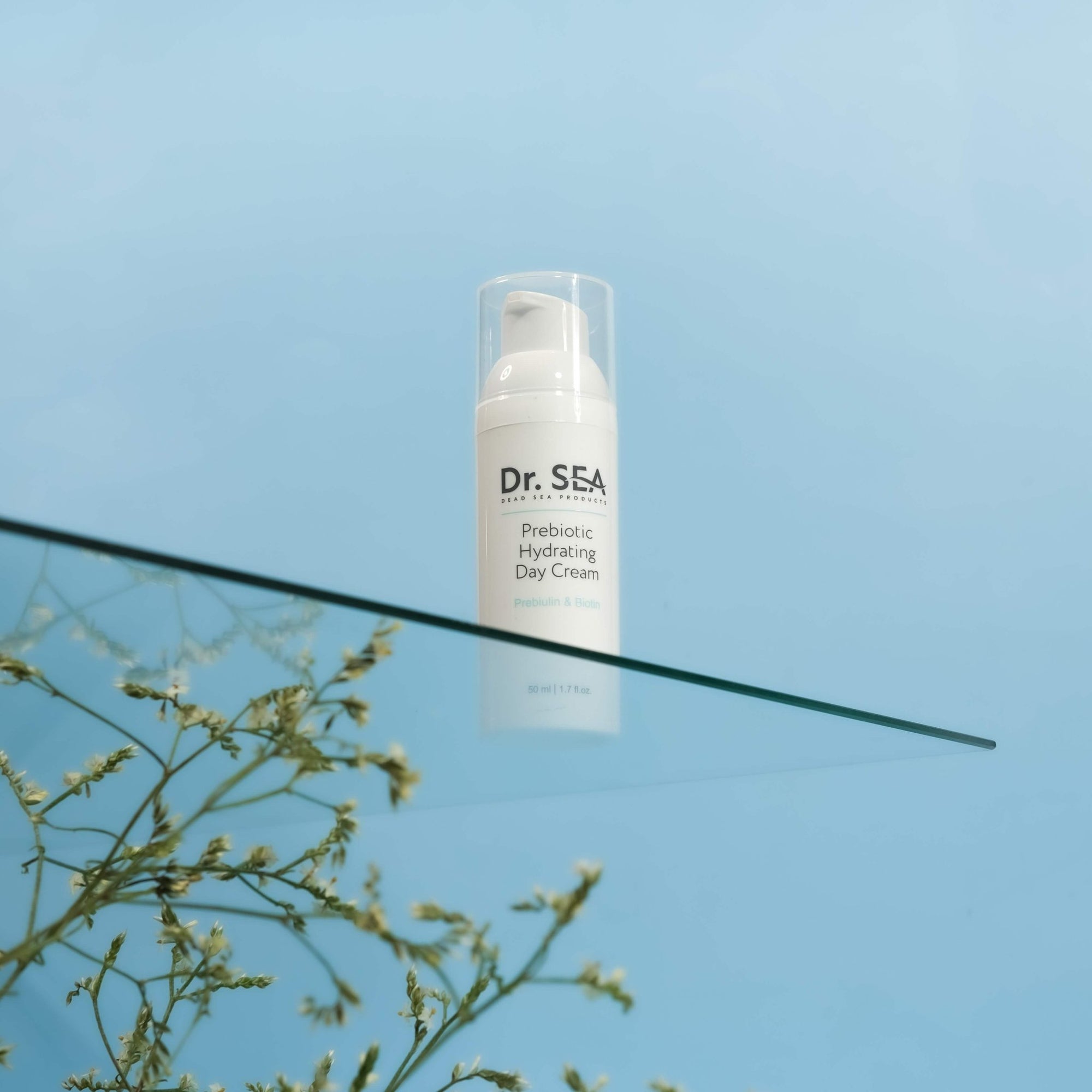 Dead Sea Prebiotic Hydrating Day Cream - Shop Israel