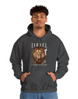 Israel I Stand With You Lion Hoodie - Shop Israel