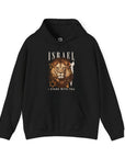 Israel I Stand With You Lion Hoodie - Shop Israel