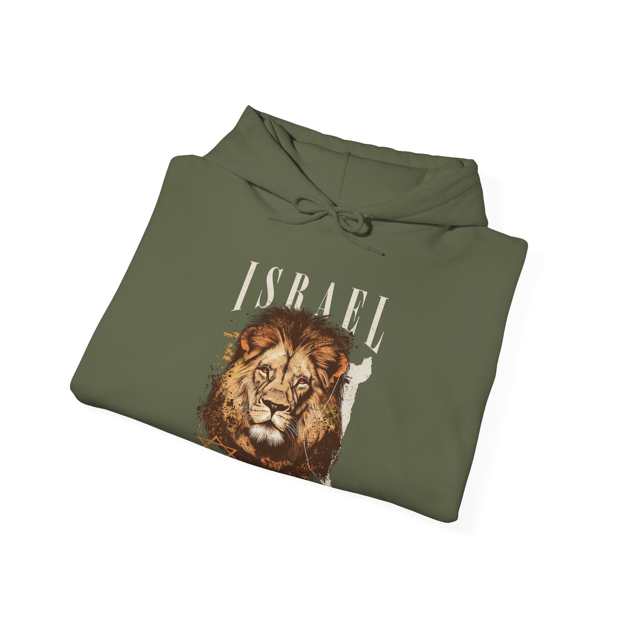 Israel I Stand With You Lion Hoodie - Shop Israel