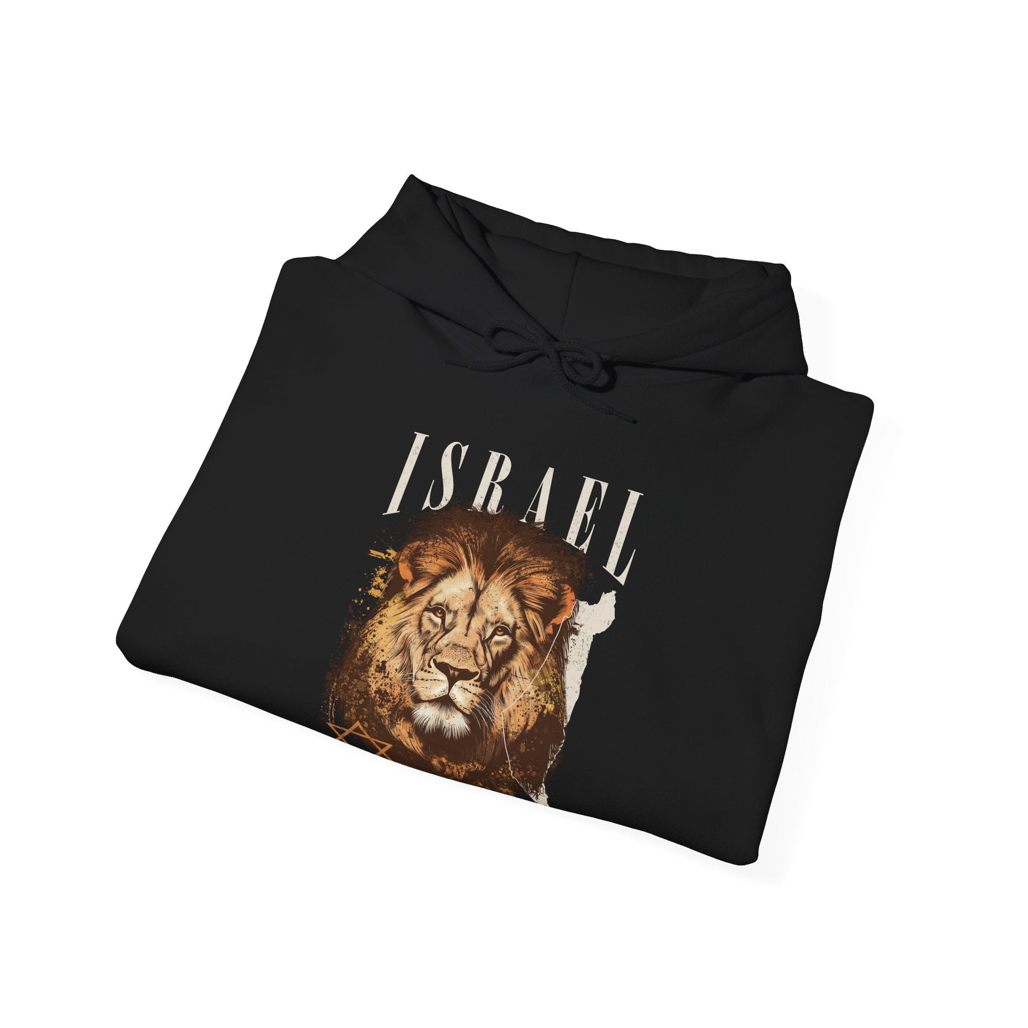 Israel I Stand With You Lion Hoodie - Shop Israel