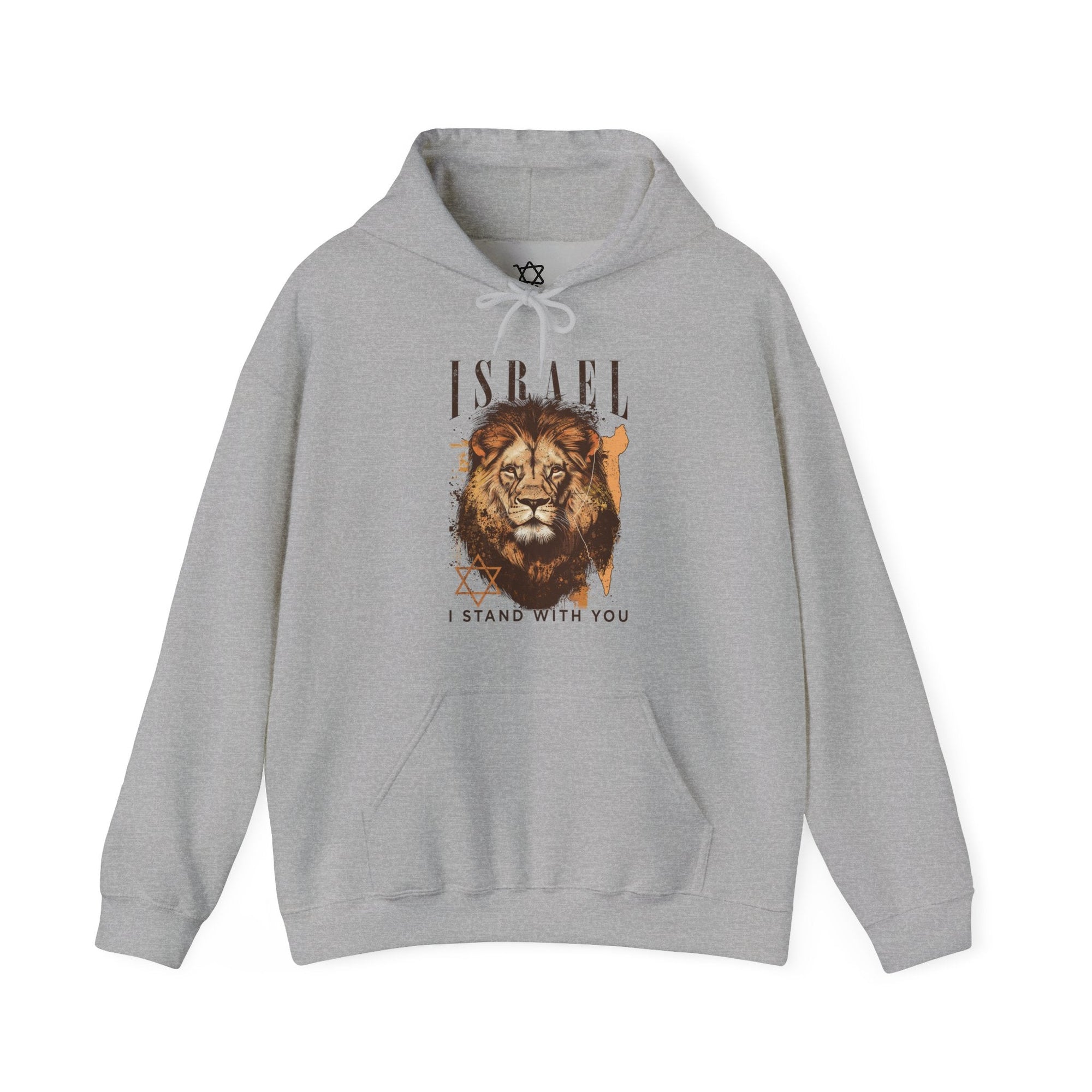 Israel I Stand With You Lion Hoodie - Shop Israel