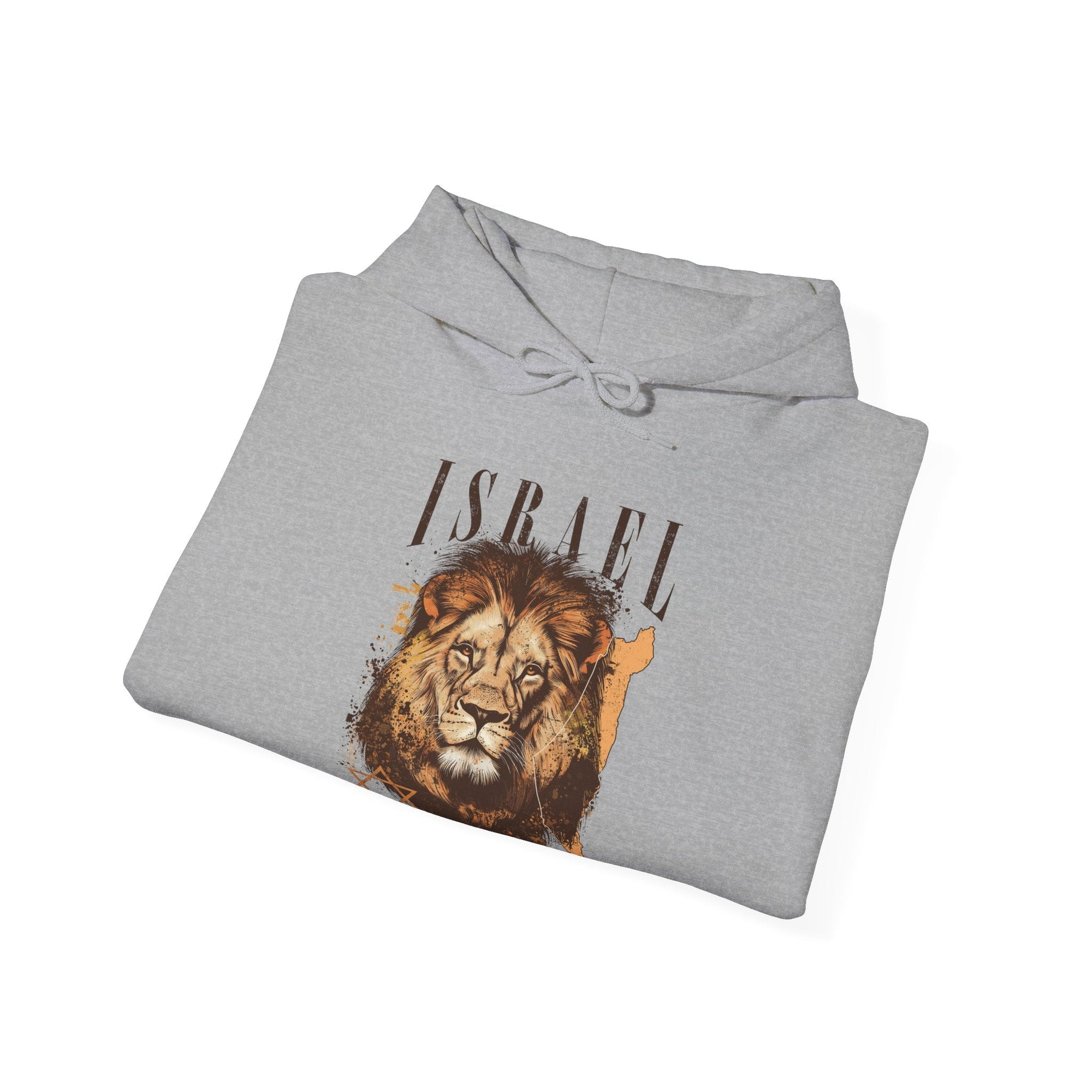 Israel I Stand With You Lion Hoodie - Shop Israel