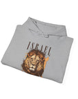 Israel I Stand With You Lion Hoodie - Shop Israel