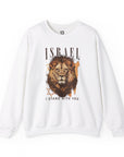 Israel I Stand With You Lion Sweatshirt - Shop Israel