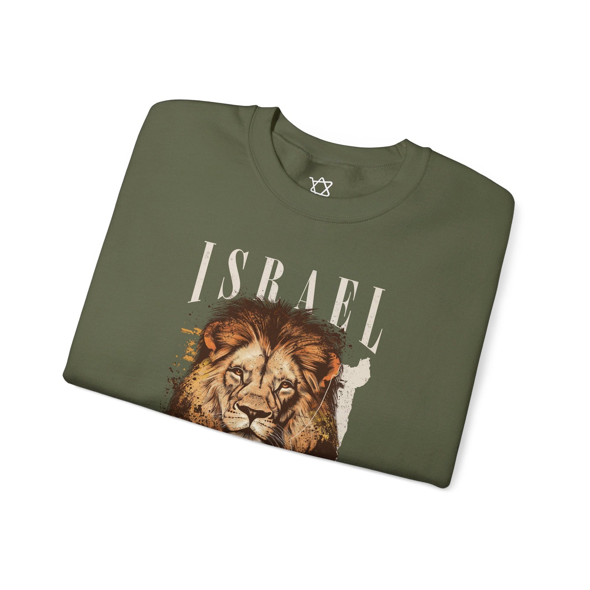 Israel I Stand With You Lion Sweatshirt - Shop Israel