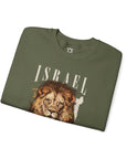 Israel I Stand With You Lion Sweatshirt - Shop Israel