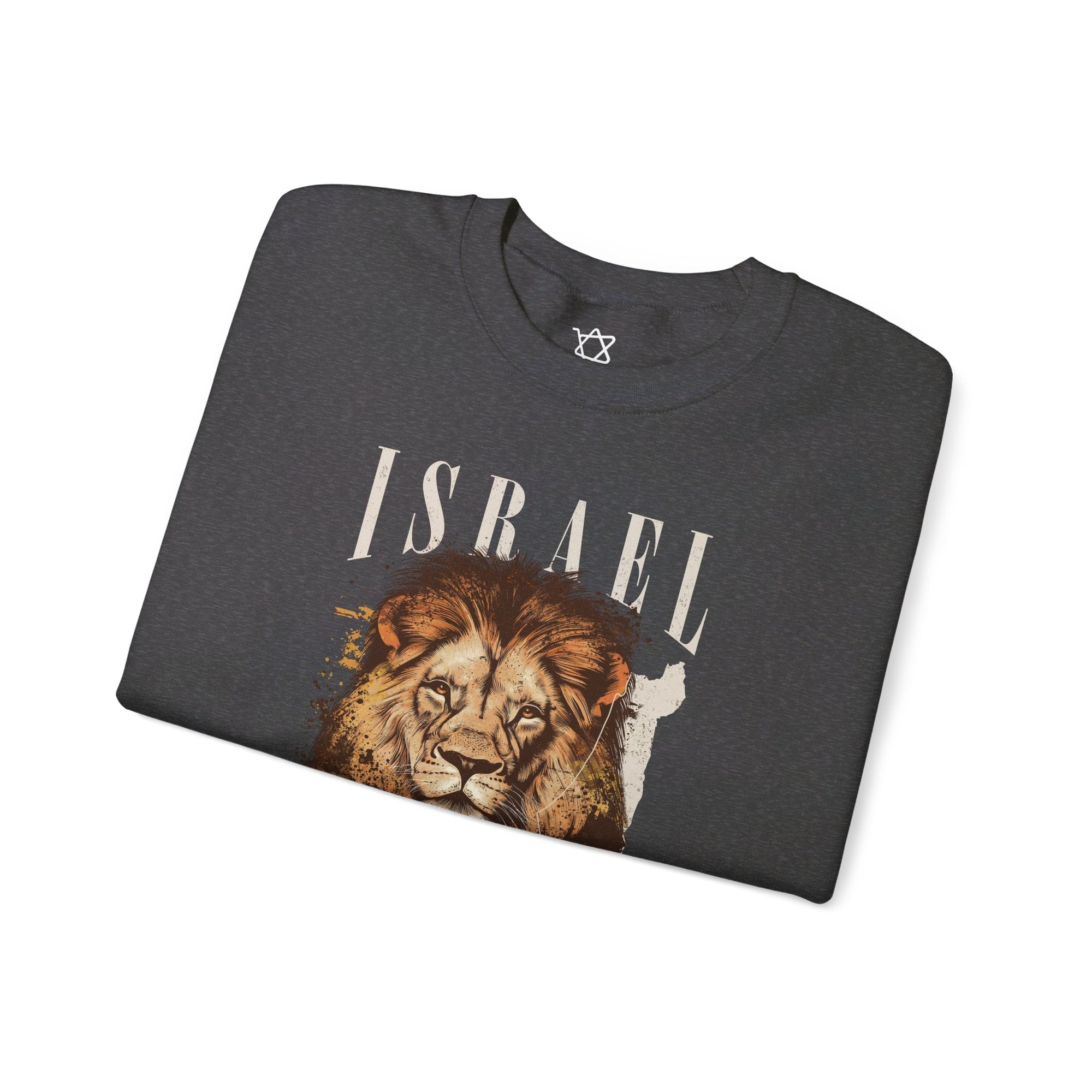 Israel I Stand With You Lion Sweatshirt - Shop Israel