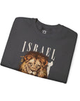 Israel I Stand With You Lion Sweatshirt - Shop Israel