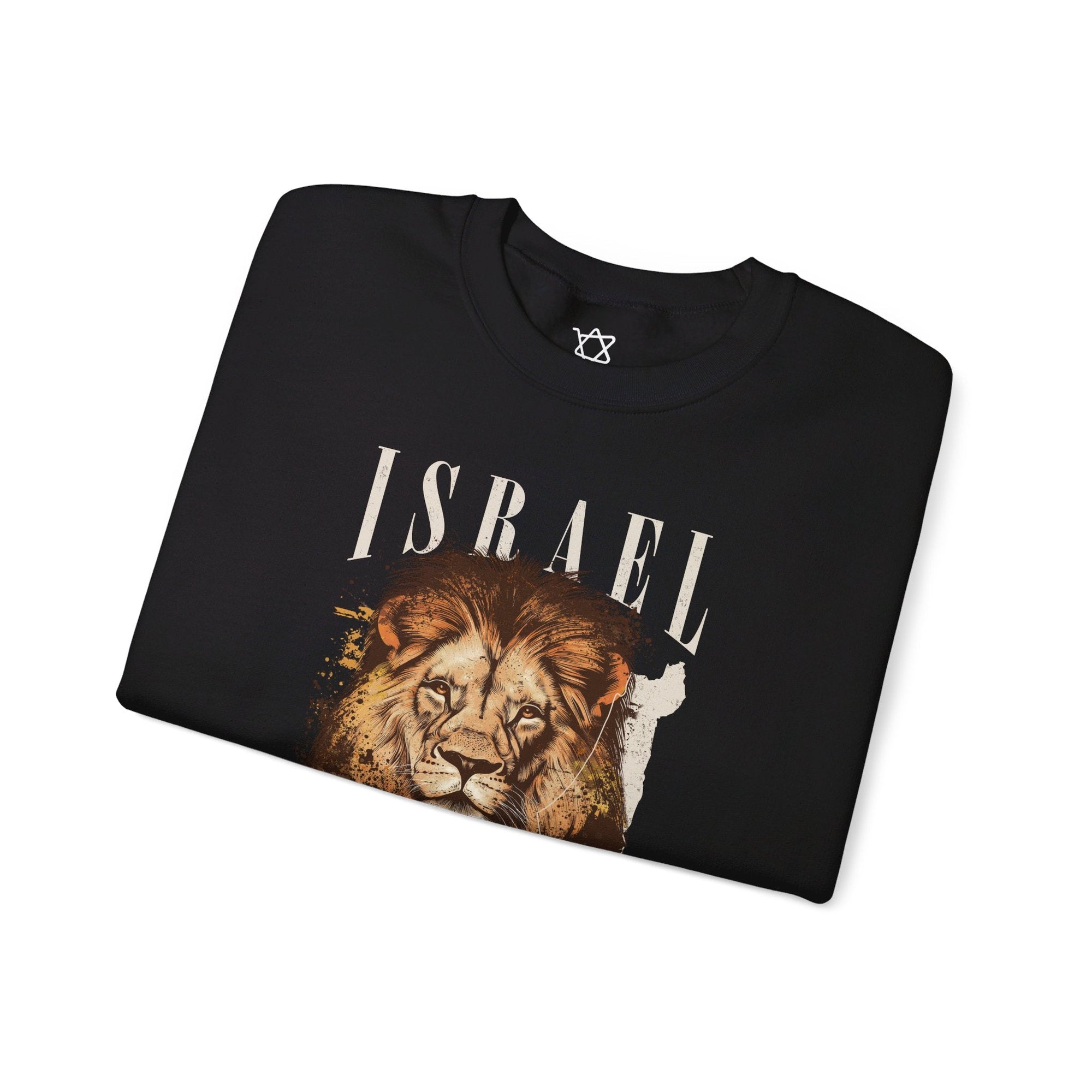 Israel I Stand With You Lion Sweatshirt - Shop Israel