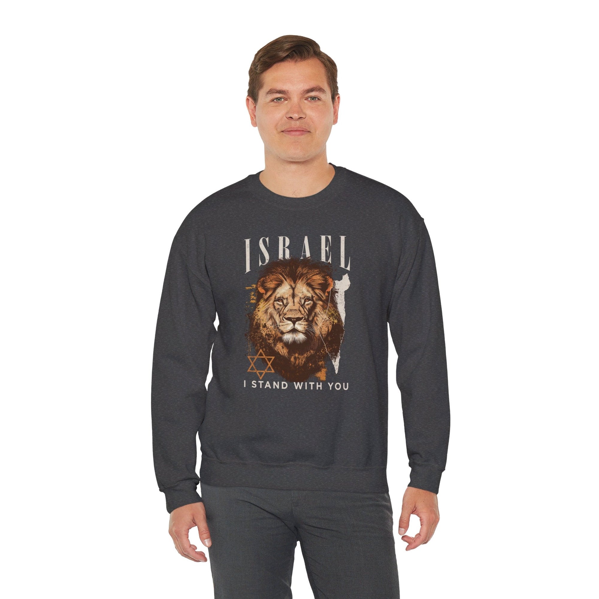 Israel I Stand With You Lion Sweatshirt - Shop Israel