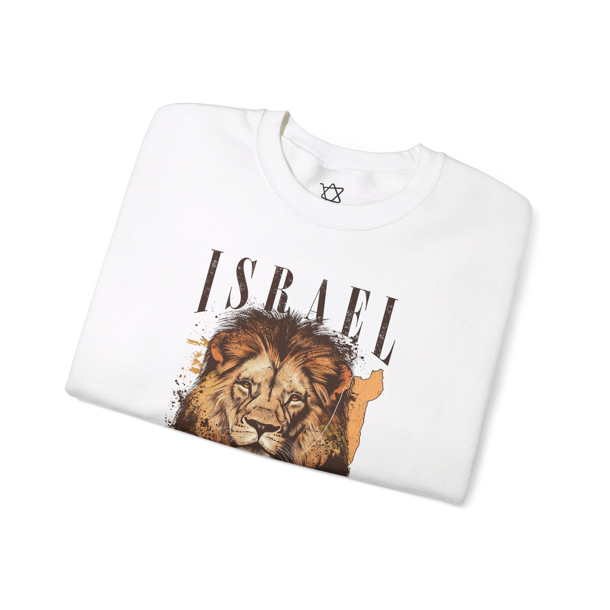 Israel I Stand With You Lion Sweatshirt - Shop Israel