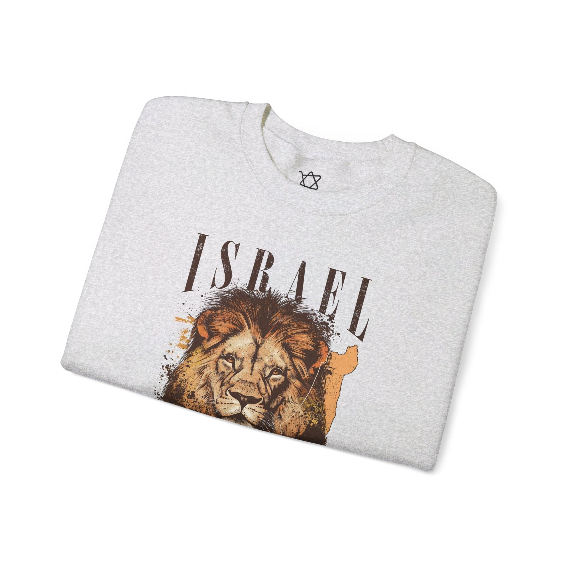 Israel I Stand With You Lion Sweatshirt - Shop Israel