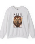 Israel I Stand With You Lion Sweatshirt - Shop Israel